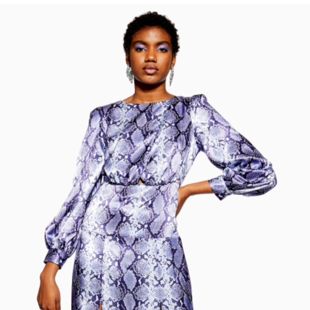 Terrific Top Shop snake print cut out dress